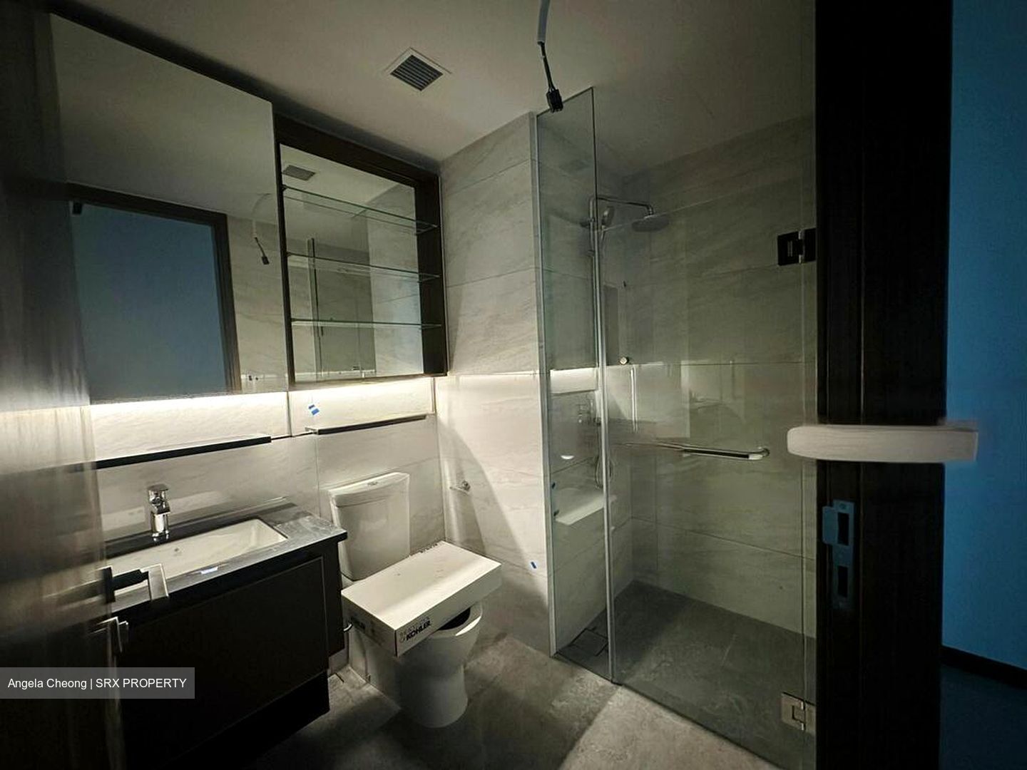 Normanton Park (D5), Apartment #502467011